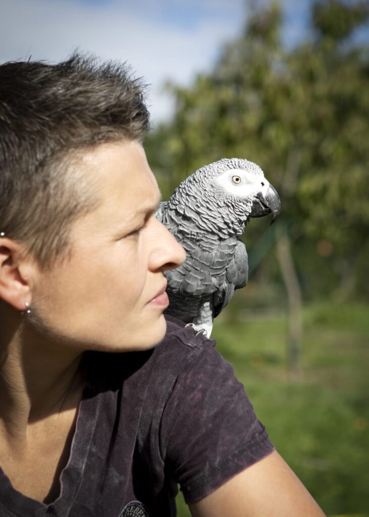 Antje Wenger - Papageien im Glück - Projekt Herzensvögel - Nicky